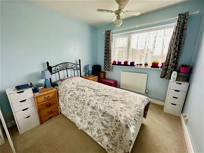 Picture 10